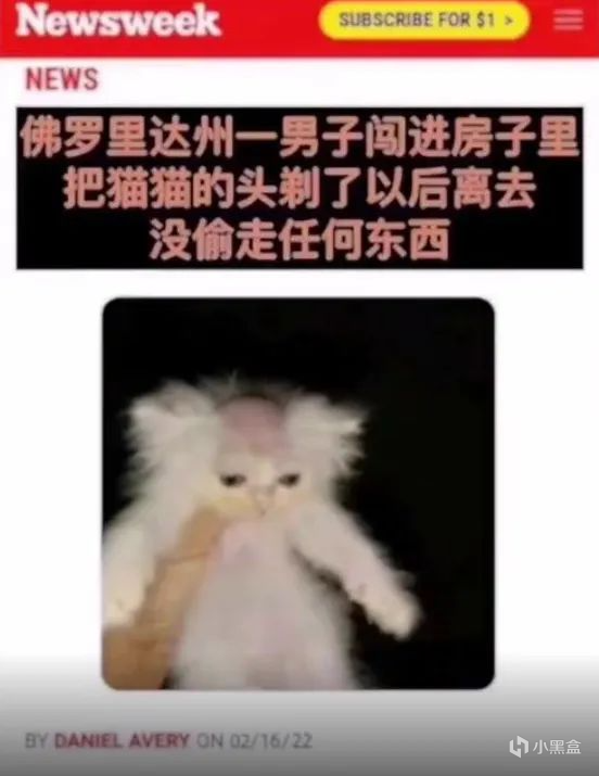 今日🌿圖（158）|明日方舟 - 第16張