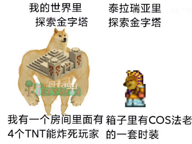 泰拉梗图-3|泰拉瑞亚 - 第11张