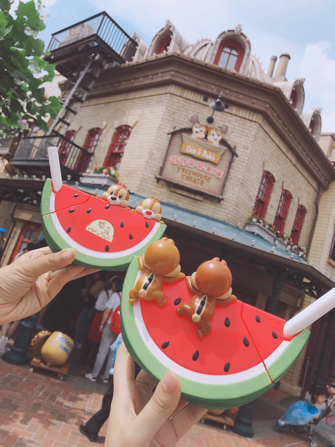 迪士尼乐园周边分享:奇奇蒂蒂西瓜杯