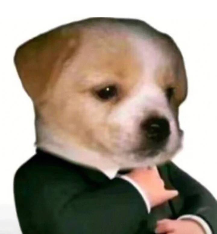 大家先听我一言