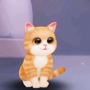 喵星人档案丨爱就像冬日里的一束暖阳，温暖了整个世界！