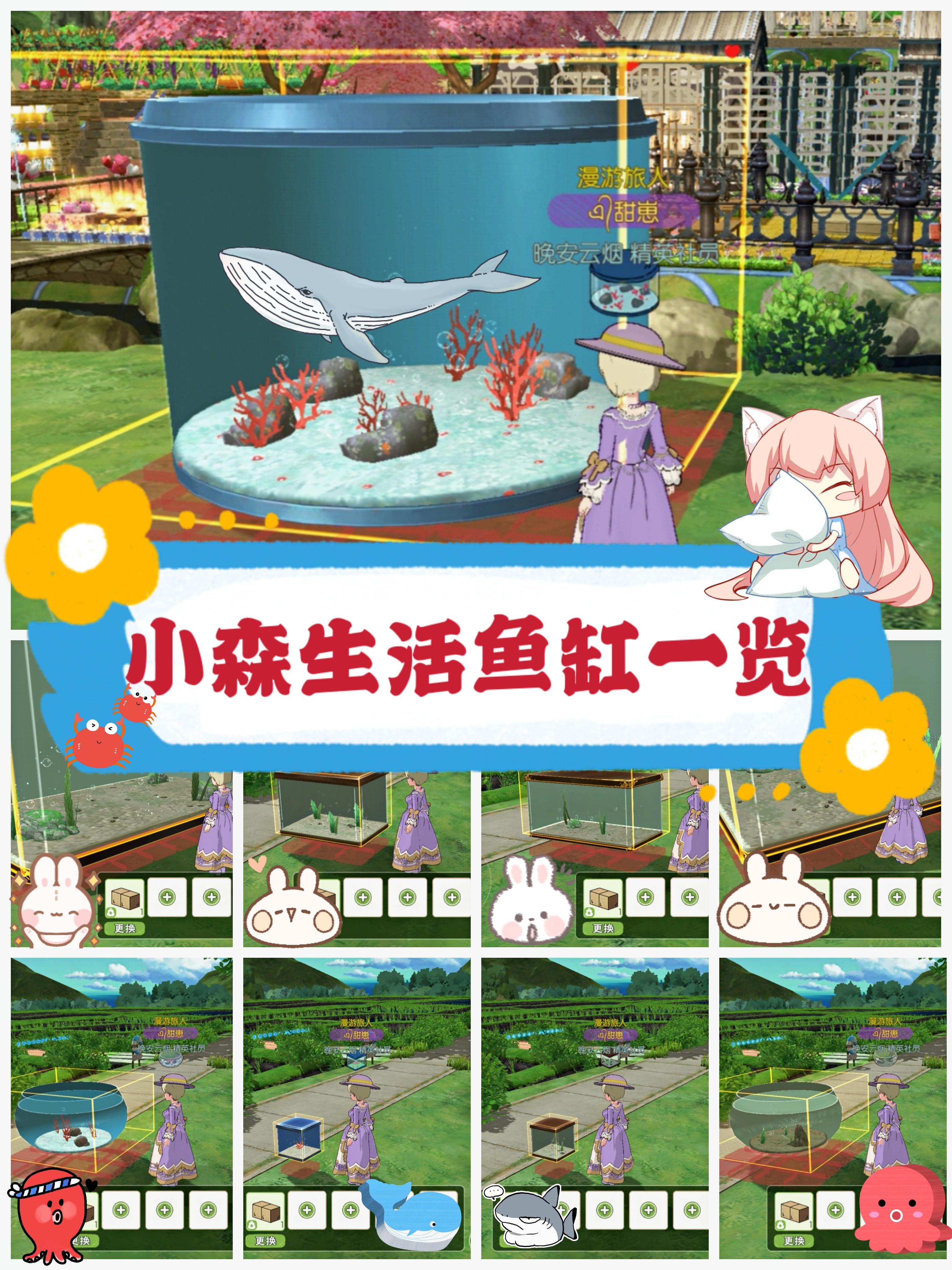 小森各类鱼缸一览～