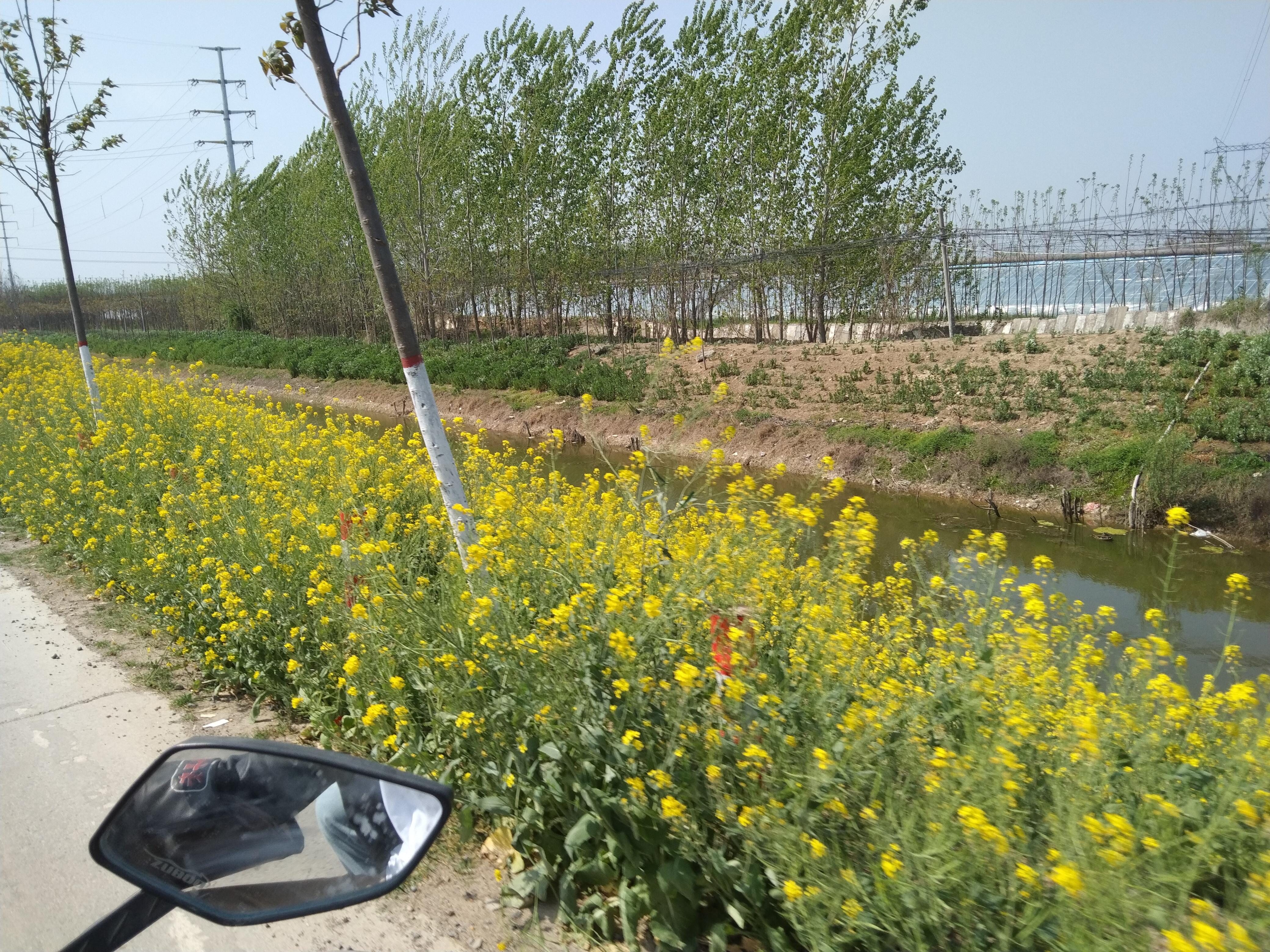 今天讲个题外话（我太高兴了）