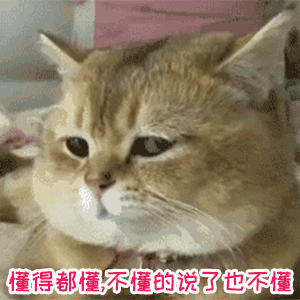 山海茶馆 | 每日参与话题互动，赢取体服资格及代金券！