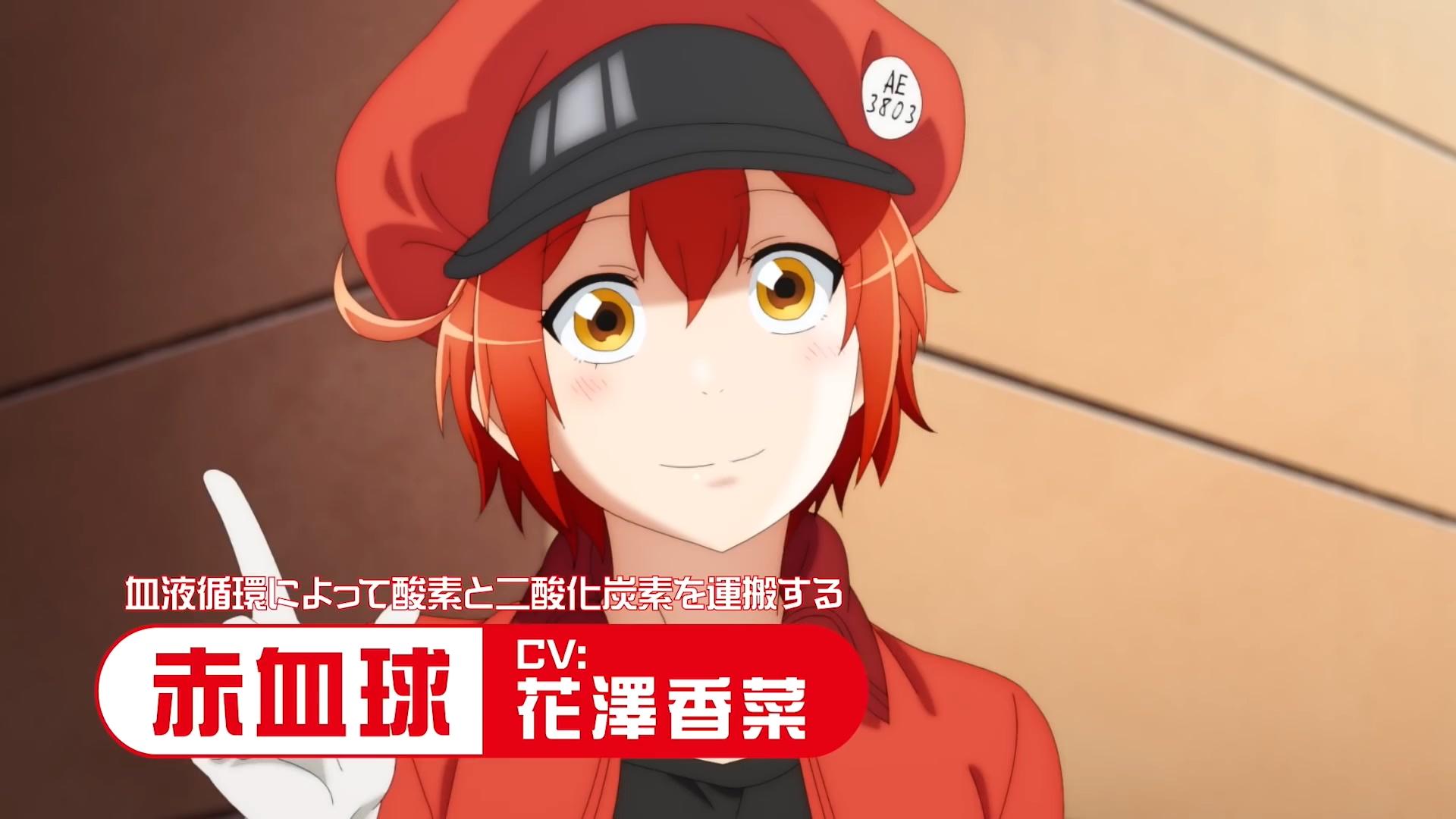 工作细胞 第二弹 PV