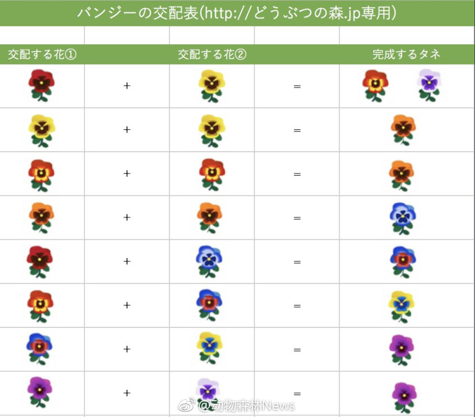 随意的游戏攻略 来自lonnon琅邪 Taptap 動物森友會口袋露營廣場社区