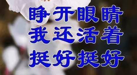 游戏肝累了吗?来吸取一下正能量吧