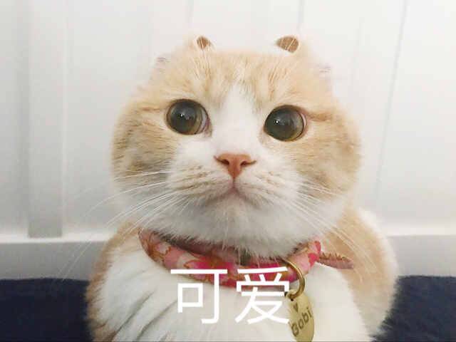 万分感谢
