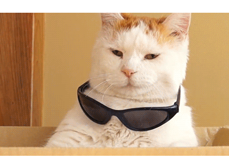 靓仔的节日试炼——导师偶遇记