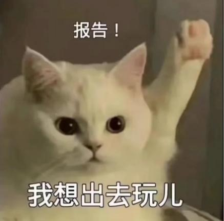 哪里来的那么多神仙姐姐？菌菌我实名观看！