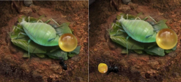 【蚁国趣闻】蚁国的甜蜜蜜，这就是我的蚜宝~|小小蚁国 - 第4张