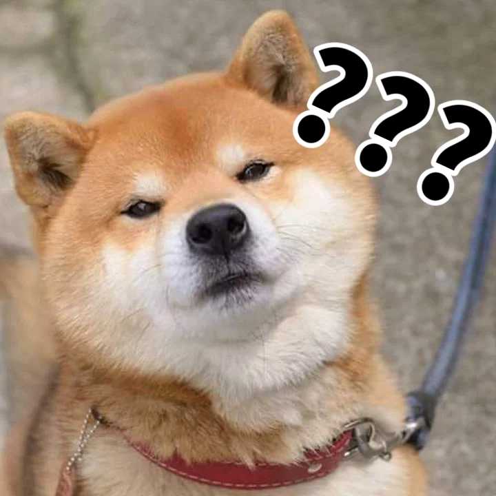 社交里面的阵营啥意思,还能结盟的吗