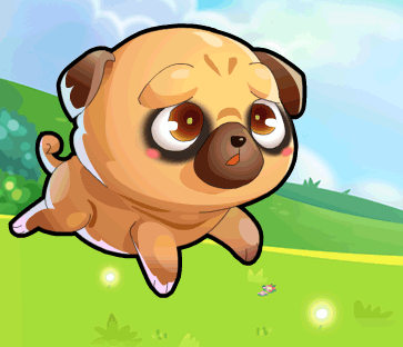 汪汪汪，热情的汪星人要来啦！~