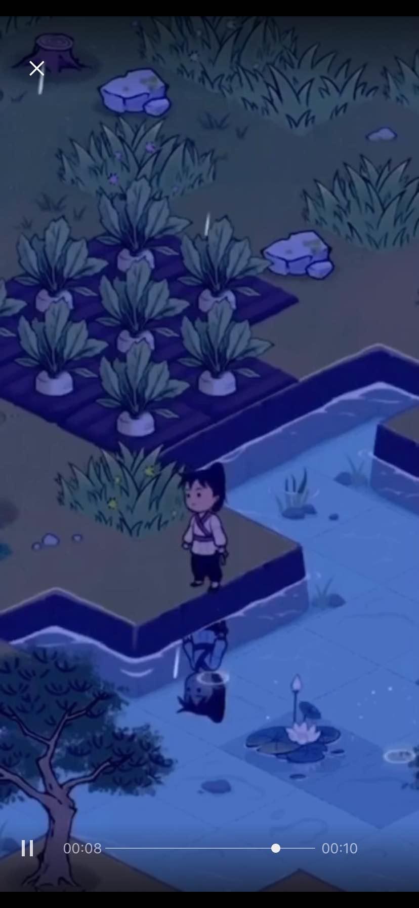 小农来图透~（8月10号）