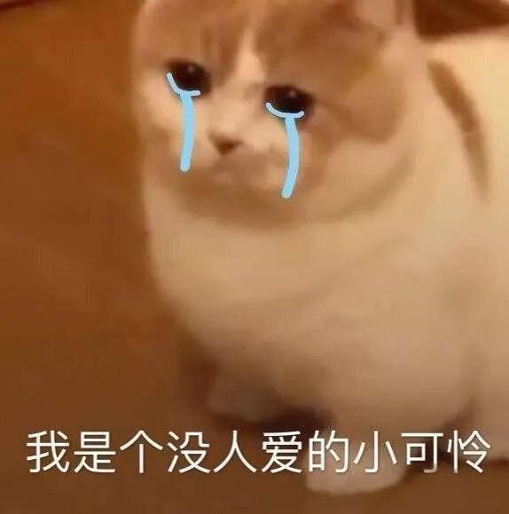 最能拯救社恐的是什么？不是打字聊天，而是……