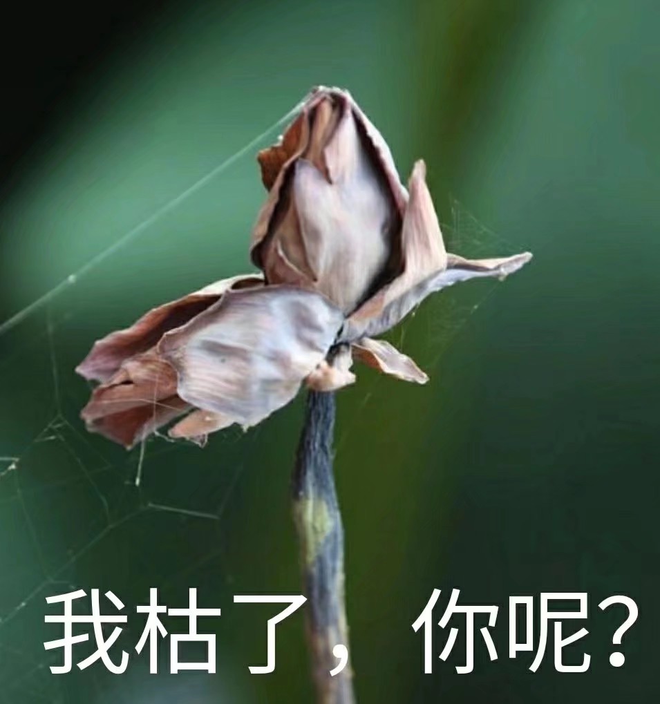 那个礼包是在哪里兑换?