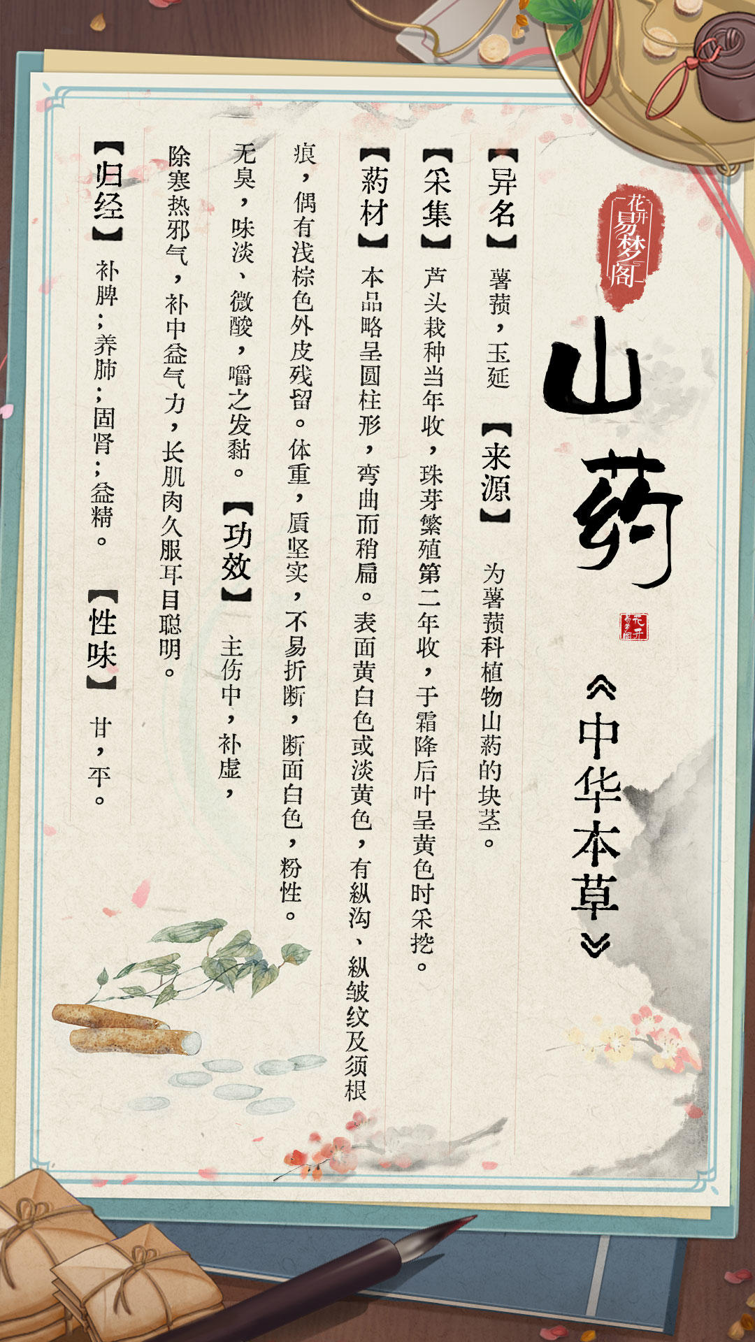 【易梦志·医馆簿】药材百科——山药