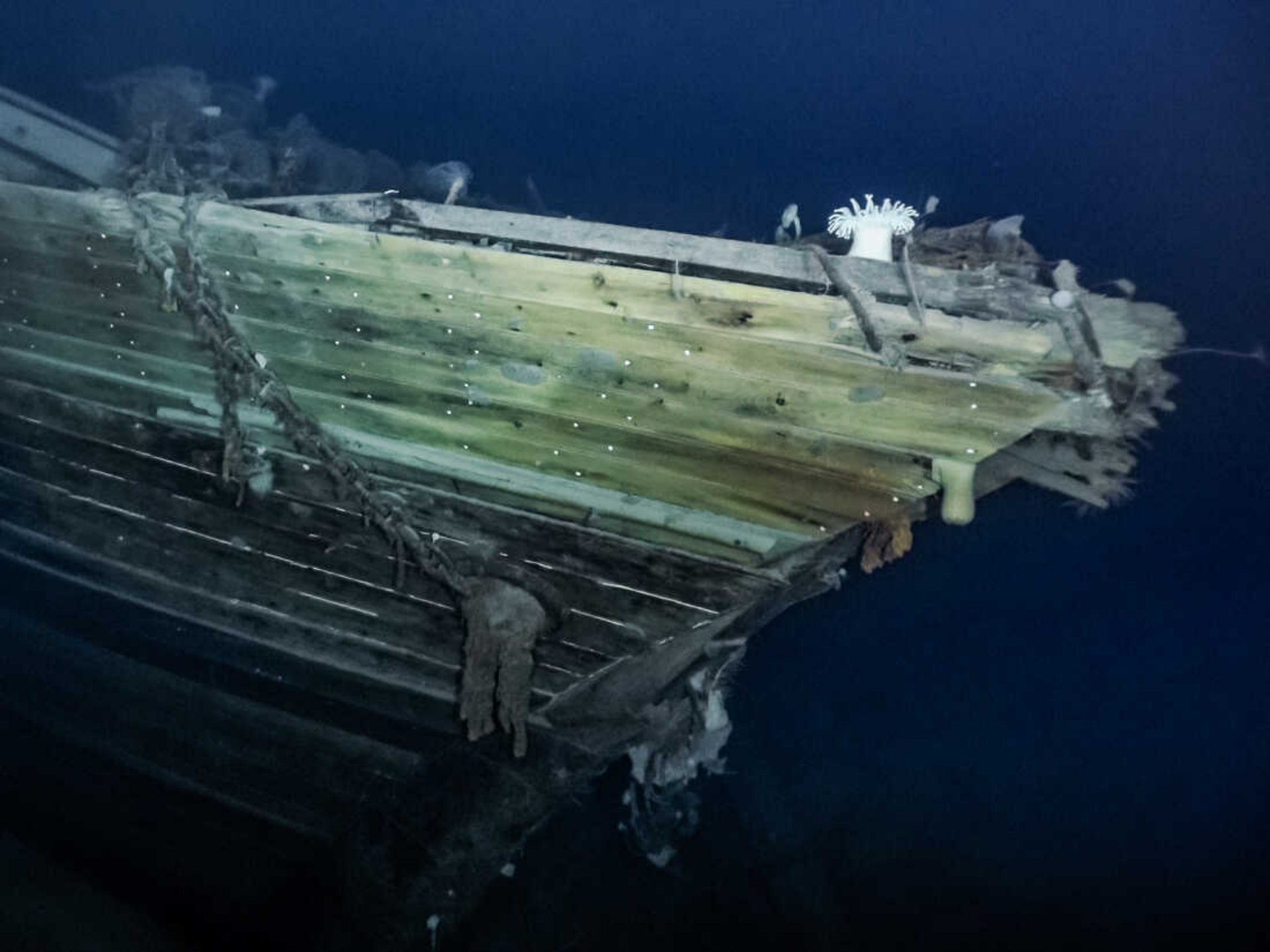【浪的科普】百年前的沉船被發現，古老而波瀾壯闊的冒險故事浮出水面|代號：ATLAS - 第6張