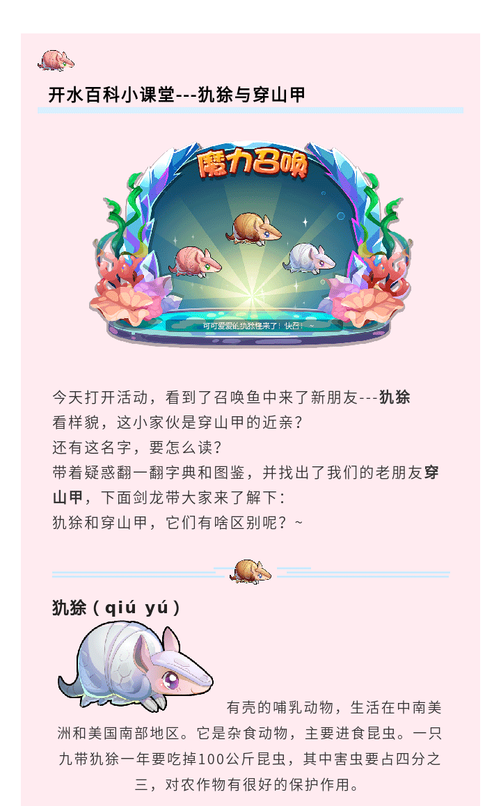 开水小课堂教你如何分清犰狳和穿山甲~