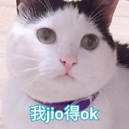 猫咪美食排行榜，看看猫咪最喜欢吃的食物是什么！