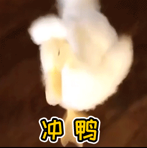 【私测招募│这游戏的私测招募终于开启了！想先人一步体验游戏拿奖励！就都给我点进来康！】