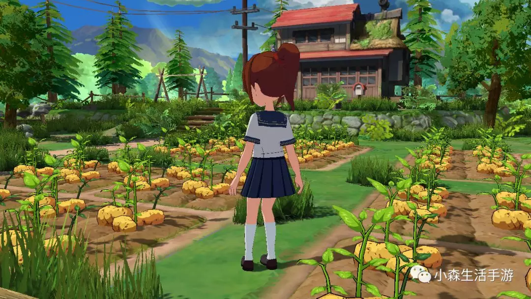 第三章　新手日记