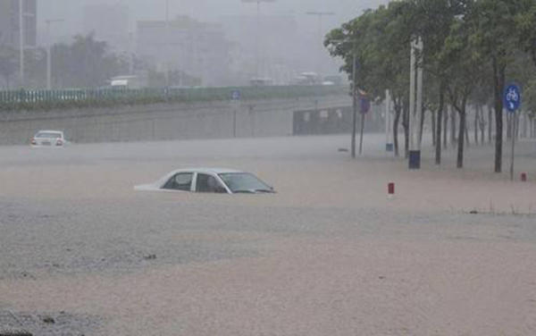 我设想过末日来临的各种情境，却败给了这场暴雨...