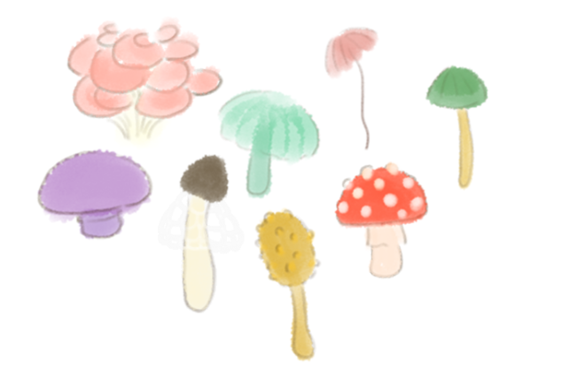 🍄蘑菇蘑菇，织女会牛郎，慕容富读情书！🌹