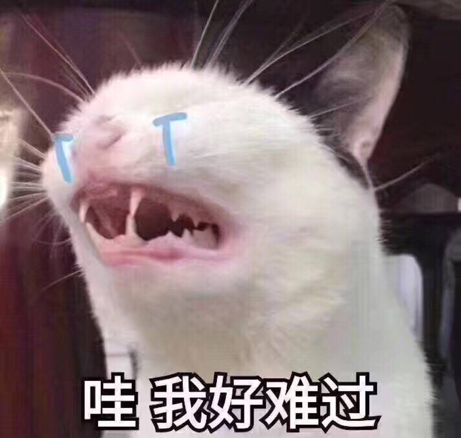 今天晚上决战到天亮