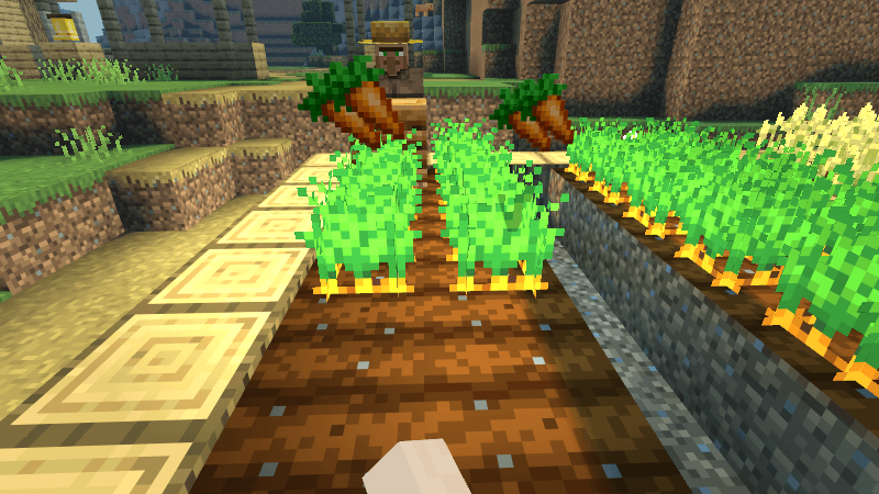 卫道士：我被一只猫击飞了？