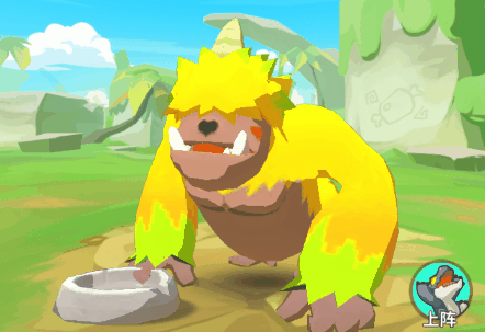 隐藏在雨林中的神秘宠物们