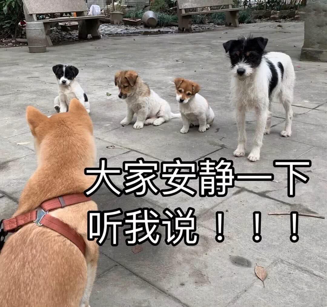 圈内资深人士经验传授——偶遇明星的100种姿势都在这里！