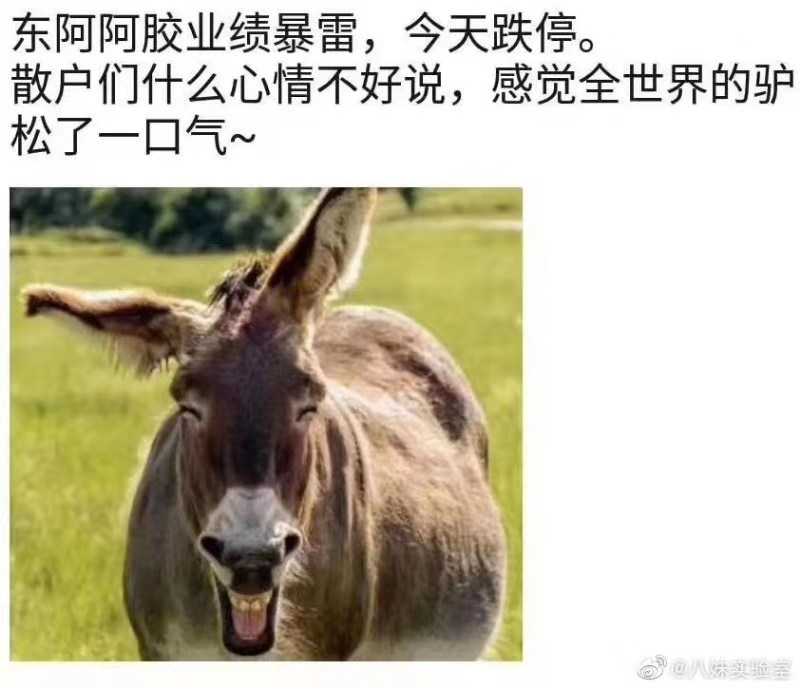 yysy,怎么看着那么眼熟