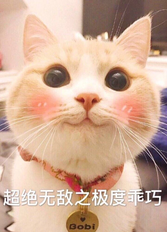 能白嫖吗?