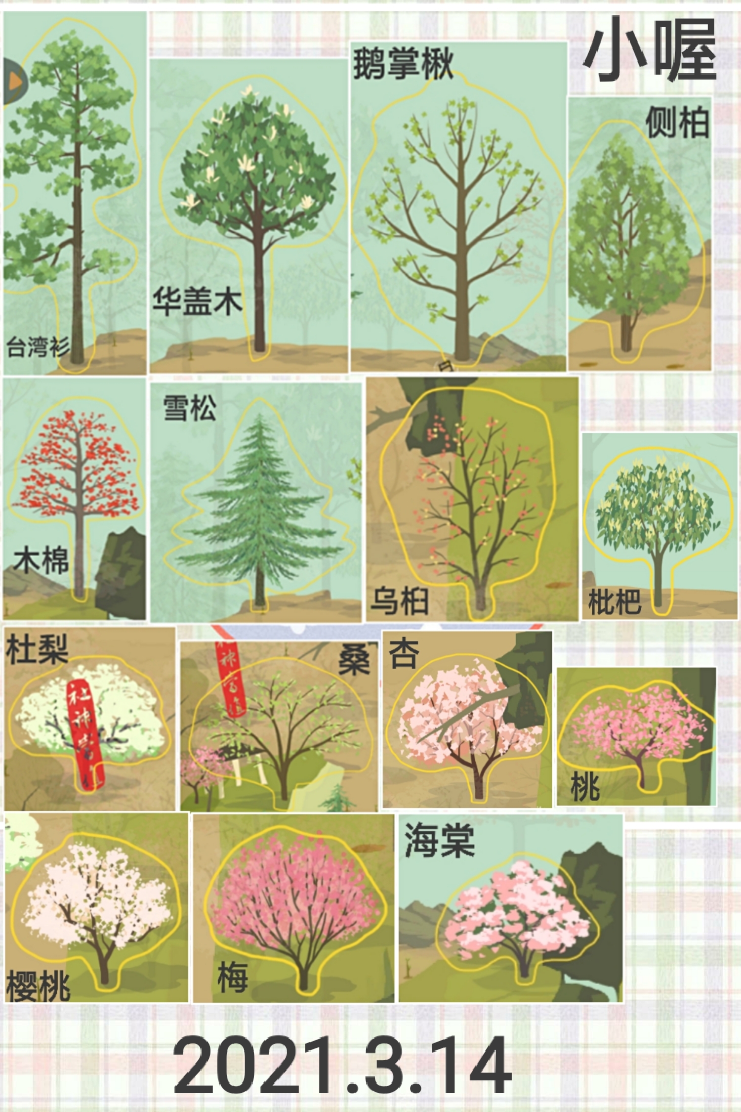 记录帖 种过的树 老农种树攻略 Taptap 老农种树社区