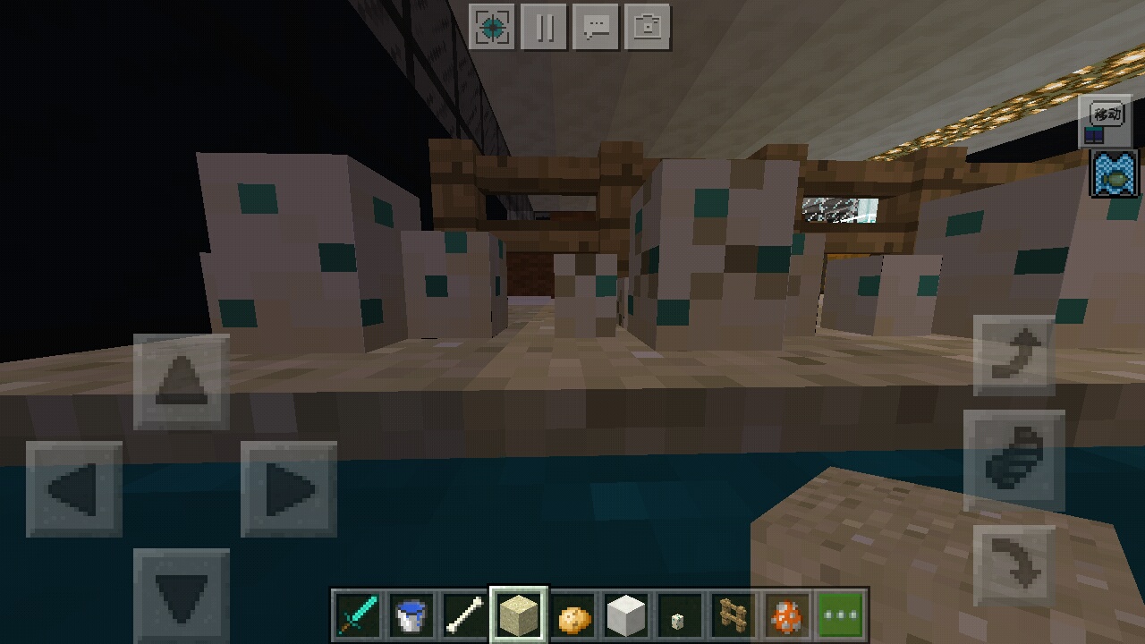 沙漠过山峰对养海龟须知的回复