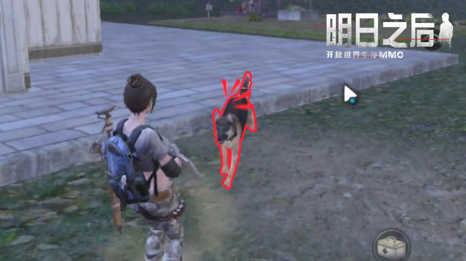 这一次我们来爆料一下家门口的汪星人~