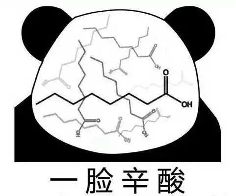 理科生专用表情包图片