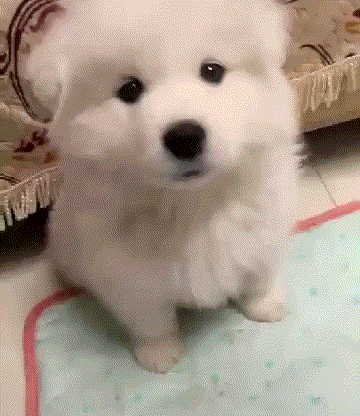 核心工坊 | 直呼内行！【电子目镜】的玩法到底有多少种？