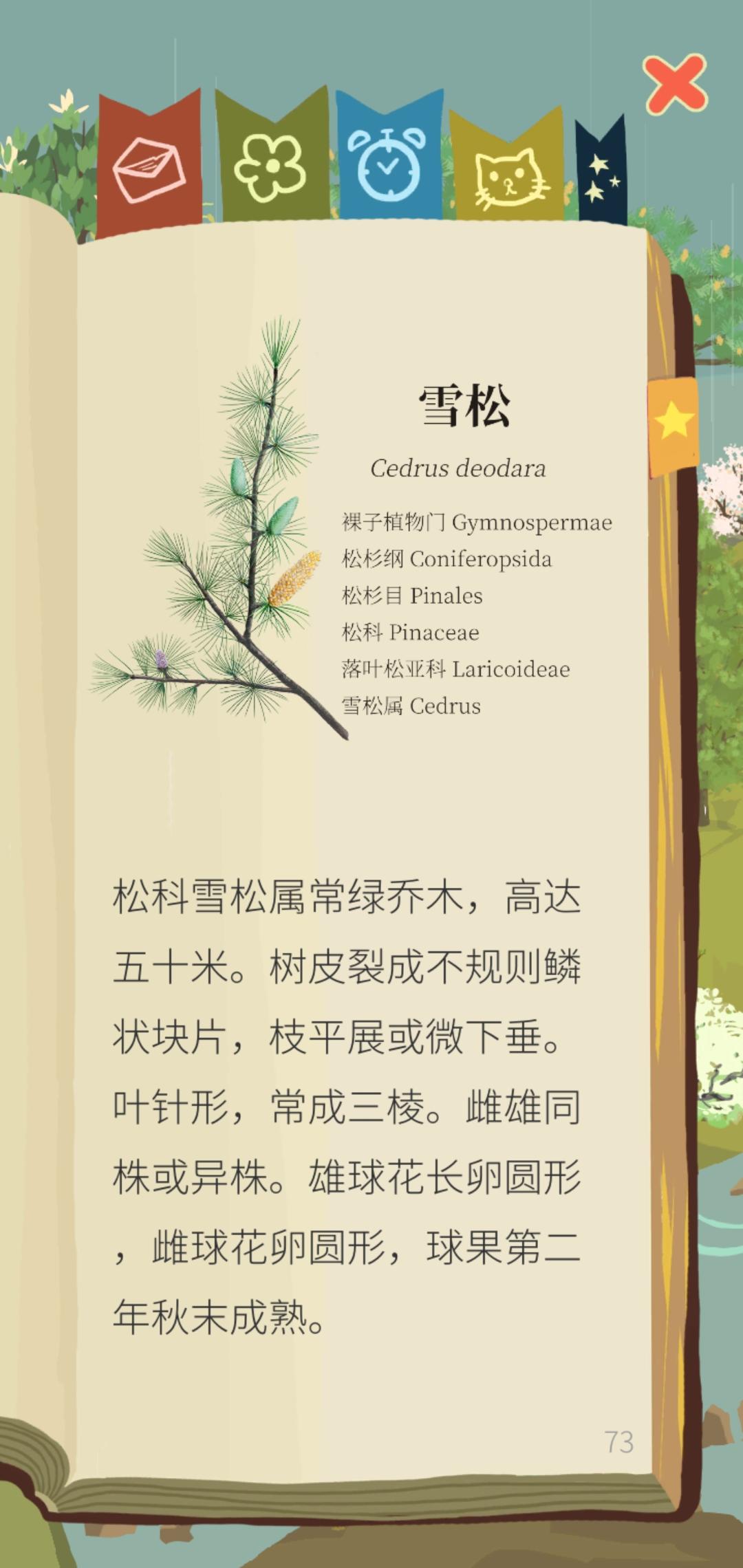 松树的叶子是单叶还是复叶？截图