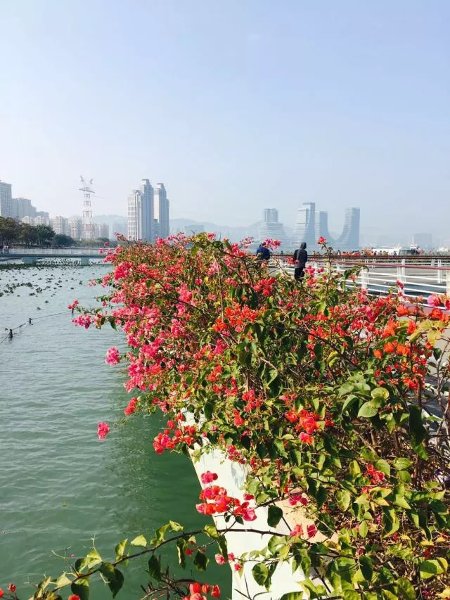 看完这波旅行美照，你的节后抑郁症一定能治好！|纪念碑谷2 - 第14张