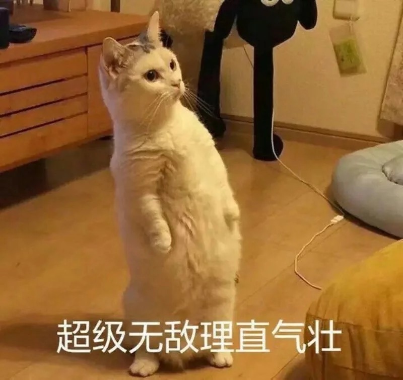 世界world 滑稽果传奇 - 论坛 | taptap 发现好游戏