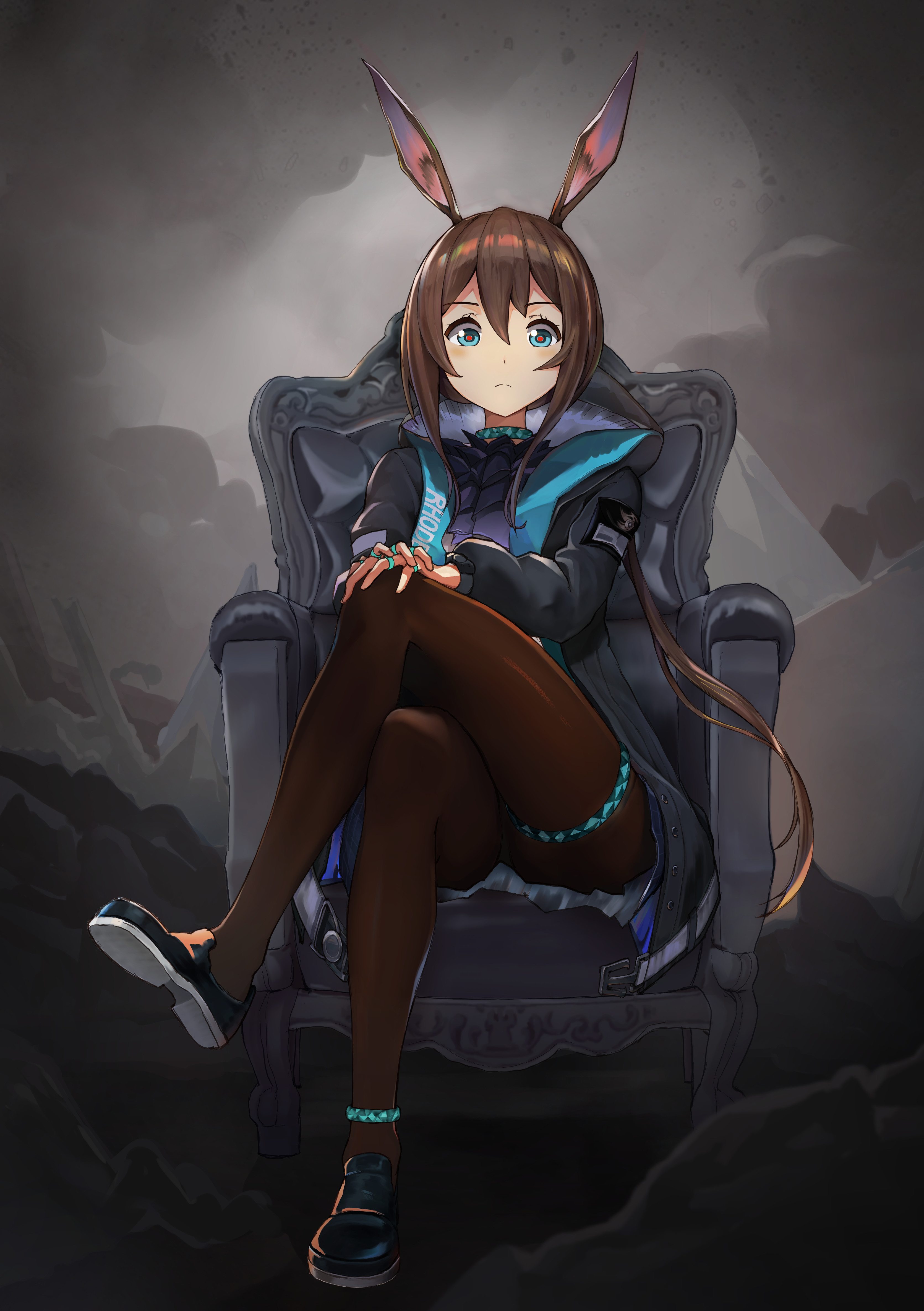 今天阿米驴专场!