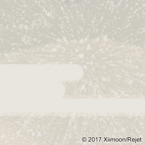 【角色情报解禁】执剑之刻——鸨羽