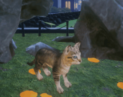 有猫有狗，这样富有的江湖生活你想要吗？