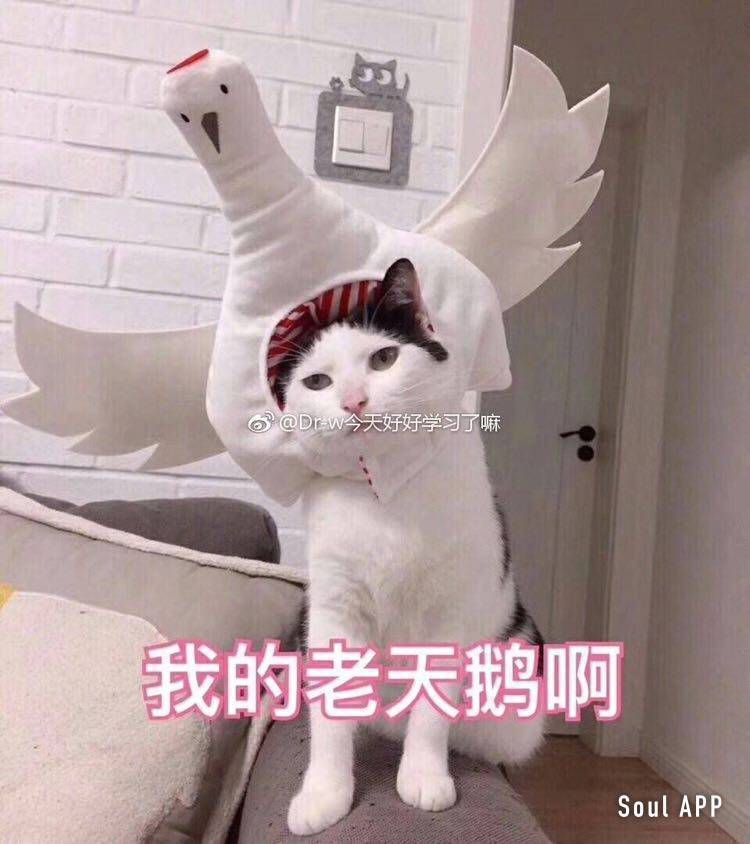 华为荣耀v9开最高画质会不会卡