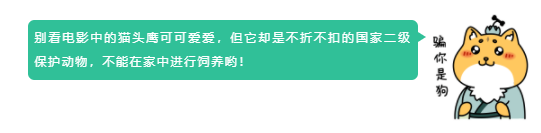 我在青雲天氣晴丨環境音效在《夢幻新誅仙》中的妙用 - 第12張