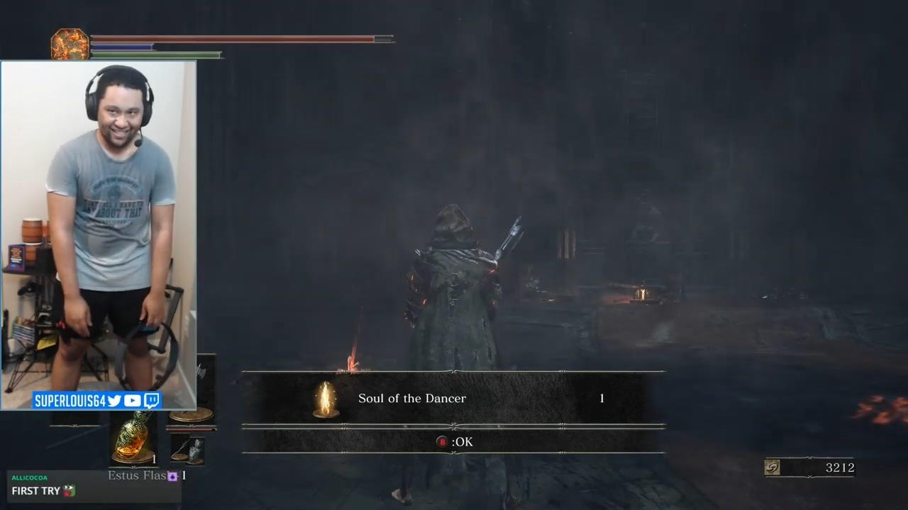 Dark Souls but you play with a Ring Fit