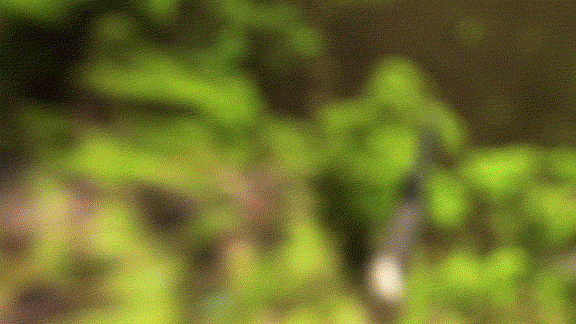 下一站荒漠，新的战场即将到来