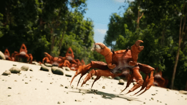 那个螃蟹跳舞的沙雕meme，真的被做成游戏了